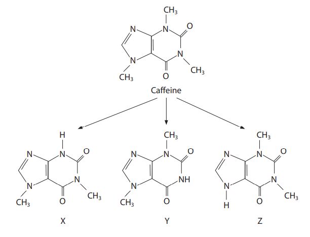 Chemical structure diagrams of caffeine and its breakdown products