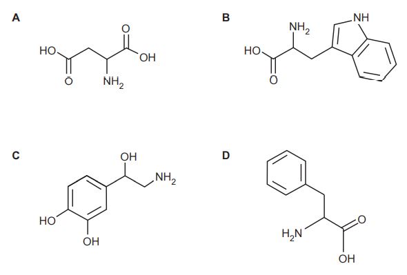 A series of chemical structure diagrams