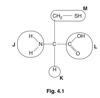 A detailed chemical structure diagram of cysteine